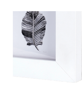 Shadow Box